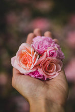 Load image into Gallery viewer, Bouquet of Rosés- 3 pack
